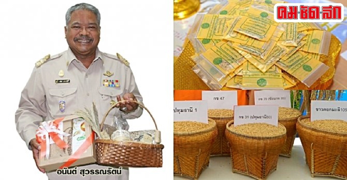 แจก 10 พันธุ์ข้าวพระราชทาน ในพระราชพิธี 'แรกนาขวัญ' ปีนี้