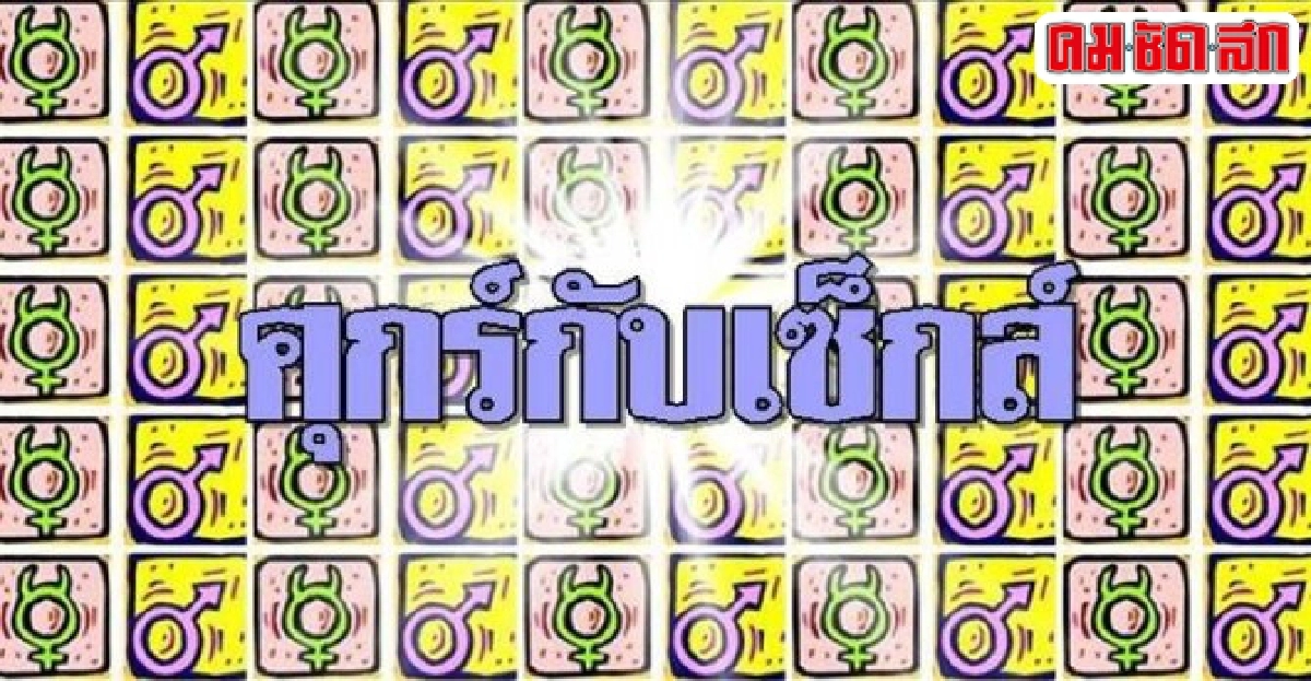 'เซ็กส์ ไม่เซลฟ์' 'เซ็กส์ ไม่เซลฟ์'