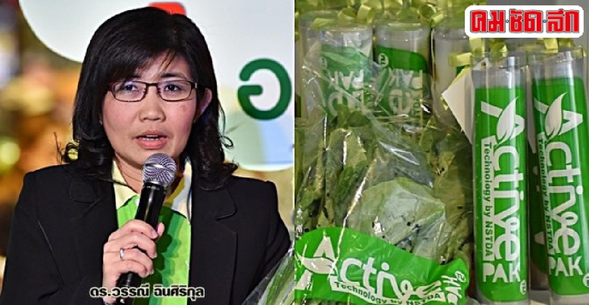 'บรรจุภัณฑ์' ถุงหายใจได้ ชูผักอร่อย - สดนาน 5 เท่า 'บรรจุภัณฑ์' ถุงหายใจได้ ชูผักอร่อย - สดนาน 5 เท่า