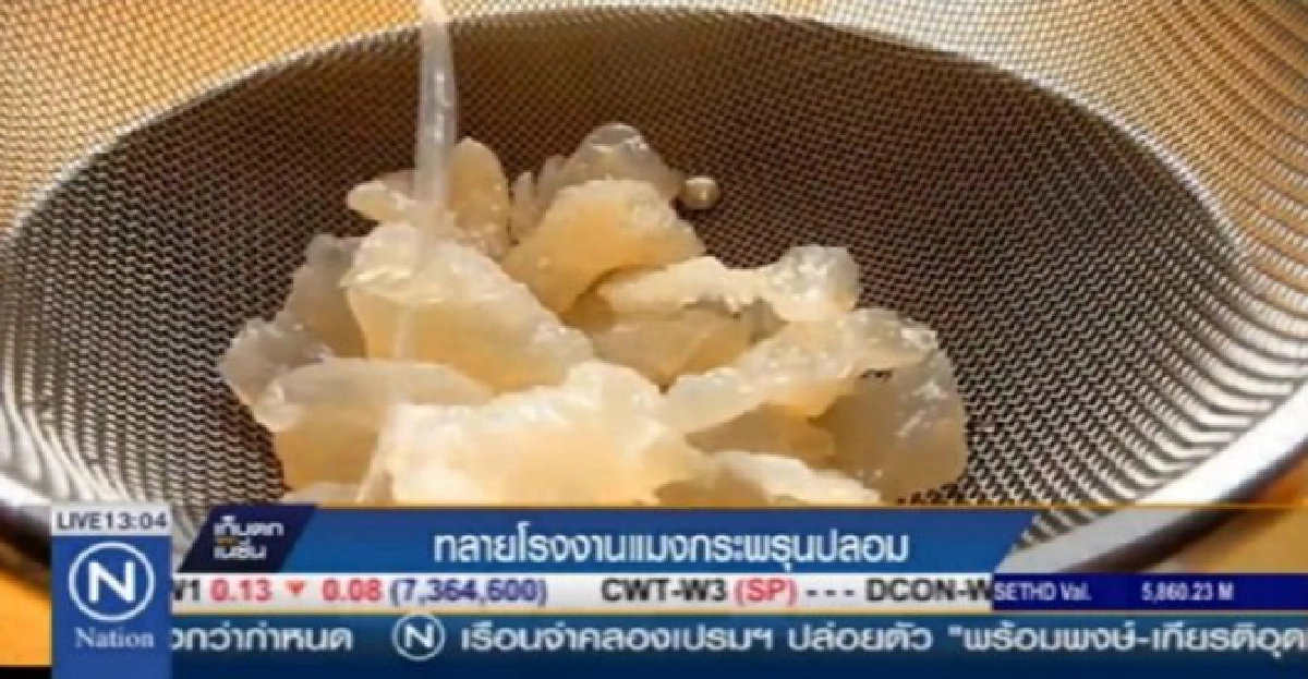 ทลายโรงงานแมงกะพรุนปลอม ทลายโรงงานแมงกะพรุนปลอม