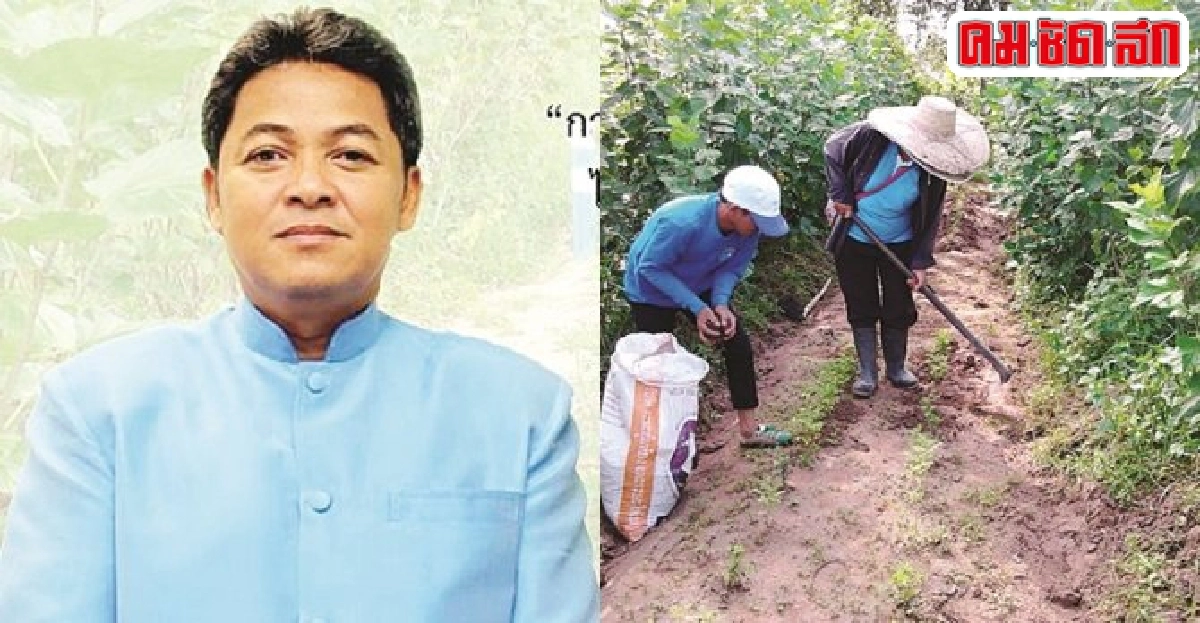 ปลูกครามแซมในสวน'หม่อน'ทางเลือกยุคภาคเกษตรตกต่ำ ปลูกครามแซมในสวน'หม่อน'ทางเลือกยุคภาคเกษตรตกต่ำ