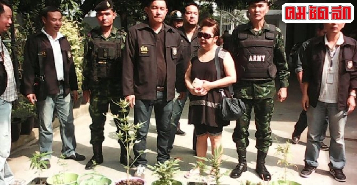 ตร.ลุยบ้านสกุลดังจับปาร์ตี้พี้ยาอึ้งปลูกกัญชา21กระถาง ตร.ลุยบ้านสกุลดังจับปาร์ตี้พี้ยาอึ้งปลูกกัญชา21กระถาง