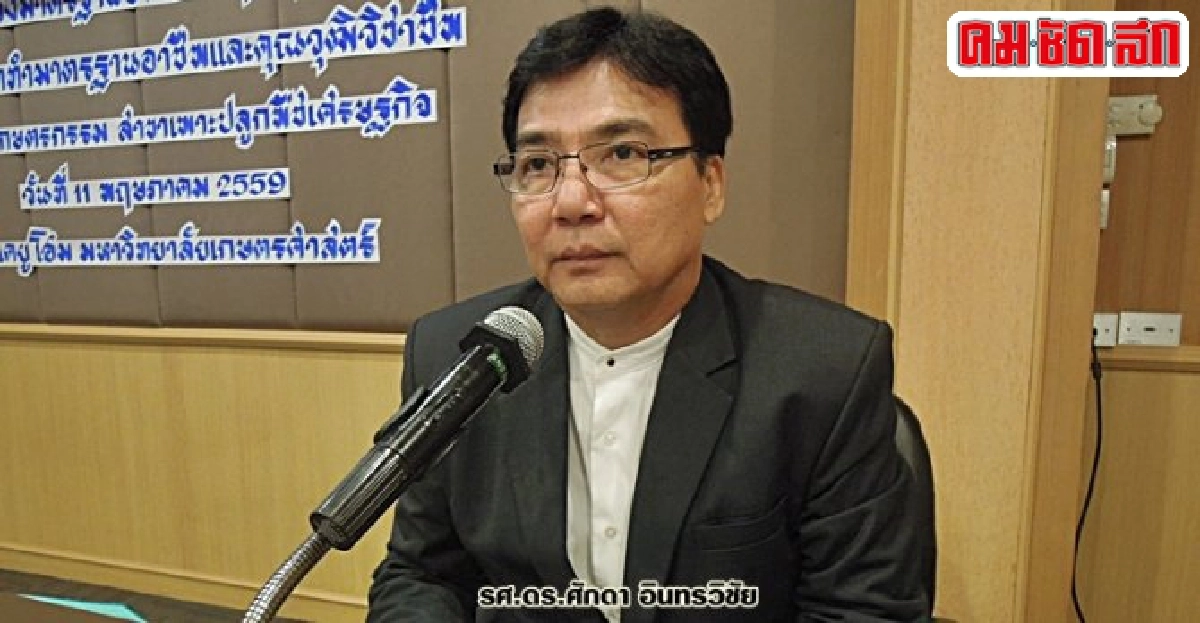 ใบรับรองวิชาชีพข้าวและอ้อย ใบรับรองวิชาชีพข้าวและอ้อย