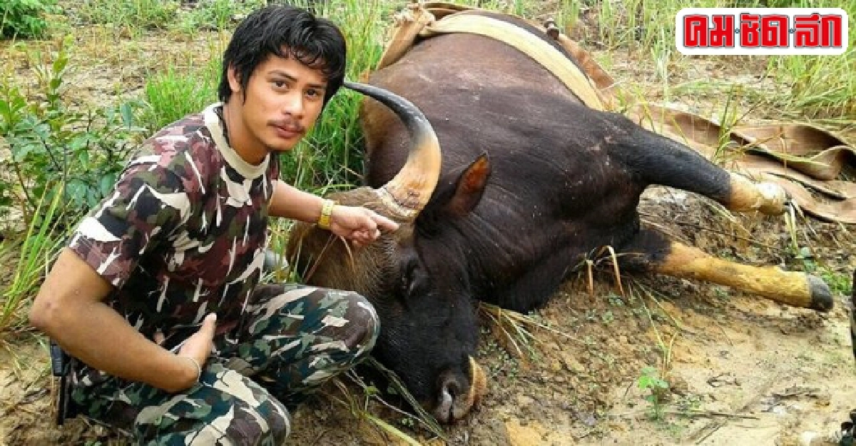 กระทิงป่าตกใจหมาไล่เห่าวิ่งตกสสปิลเวย์อ่างเก็บน้ำคอหักตาย กระทิงป่าตกใจหมาไล่เห่าวิ่งตกสสปิลเวย์อ่างเก็บน้ำคอหักตาย