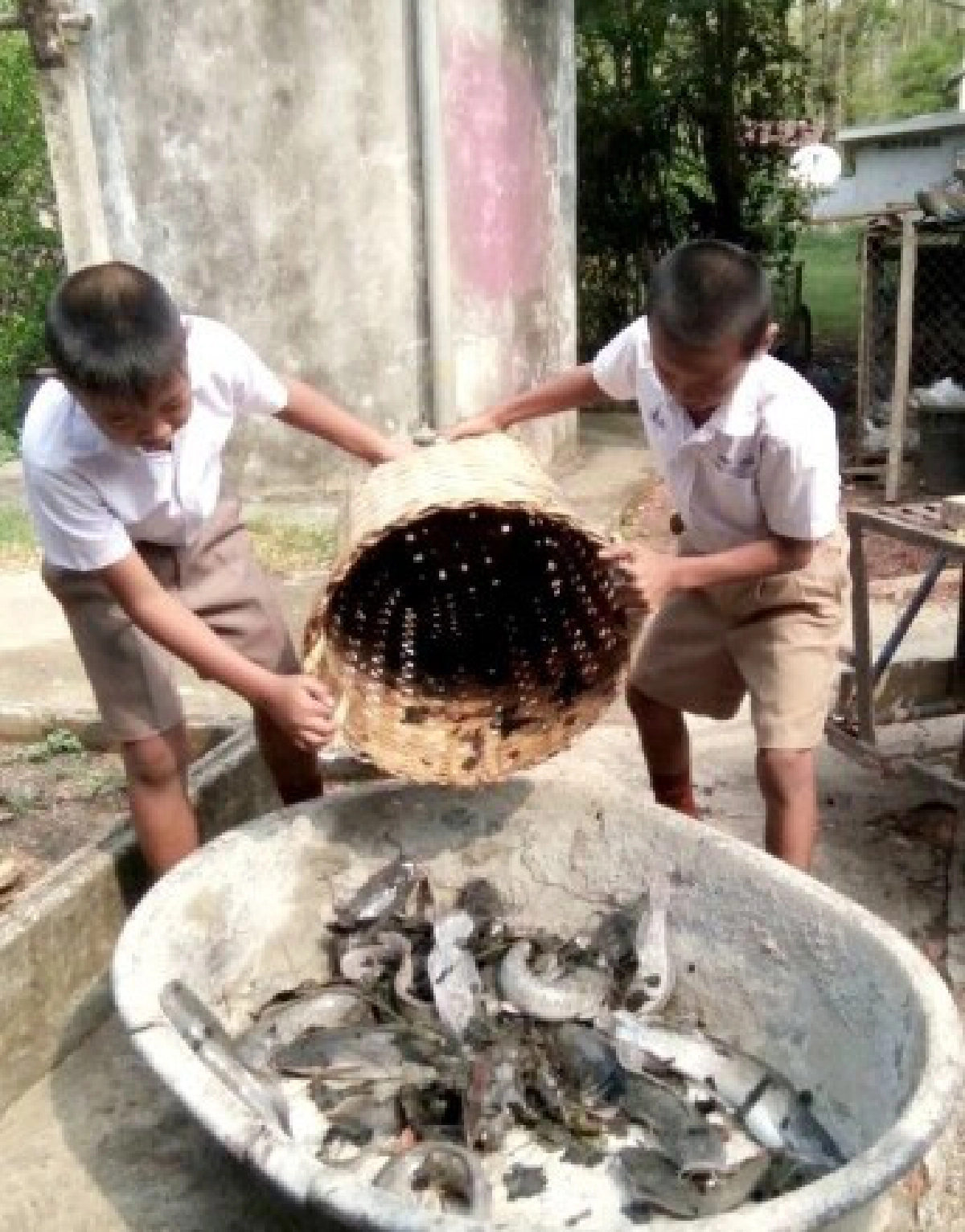 เผย“อาหารกลางวันเด็ก”สารอาหารไม่ครบ