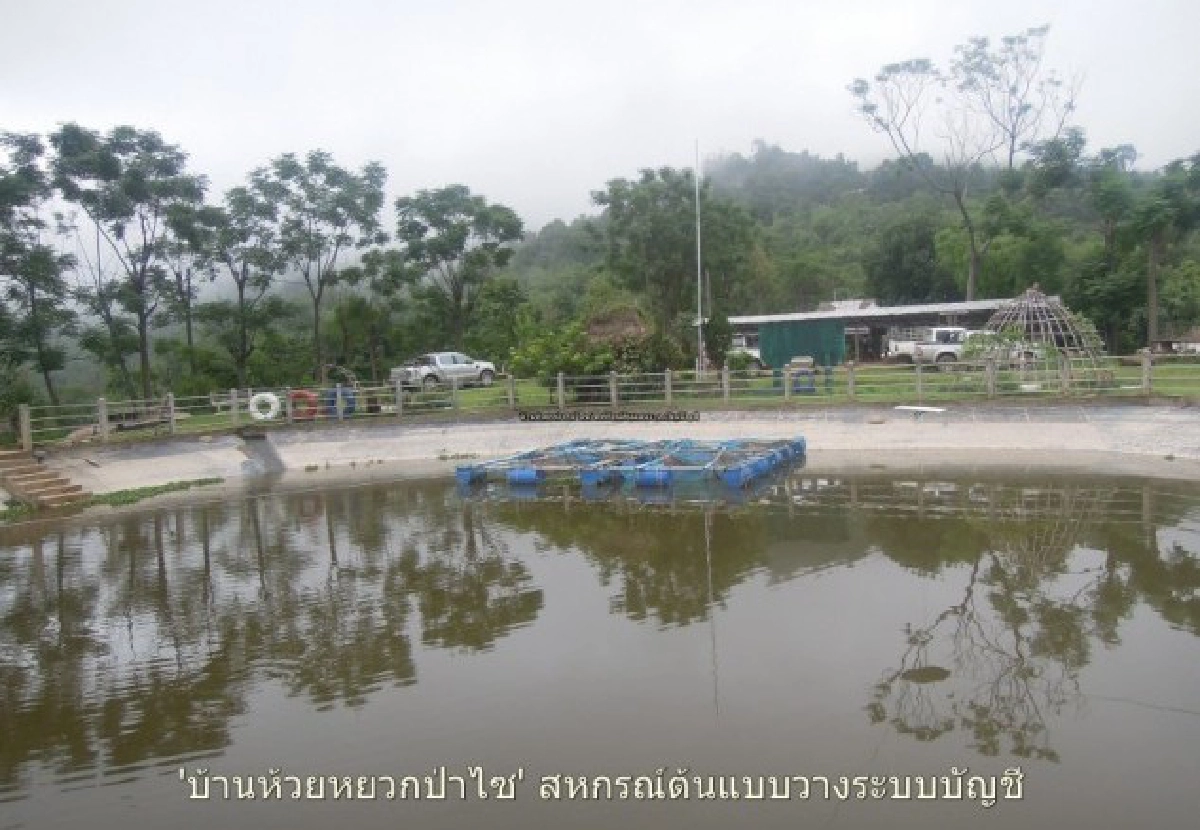 'ห้วยหยวกป่าไซ' สหกรณ์ต้นแบบวางระบบบัญชี