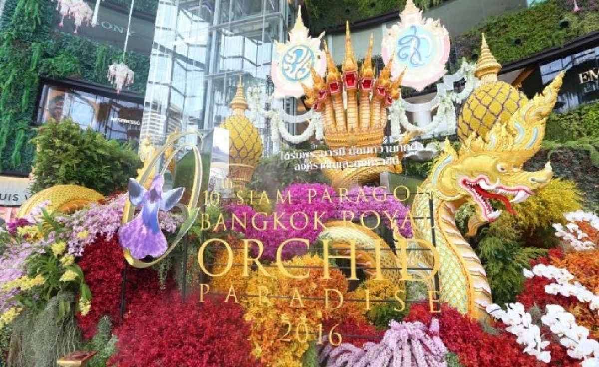 พญานาค 7 เศียร์เลื้อยผ่านกลางห้างหรู 