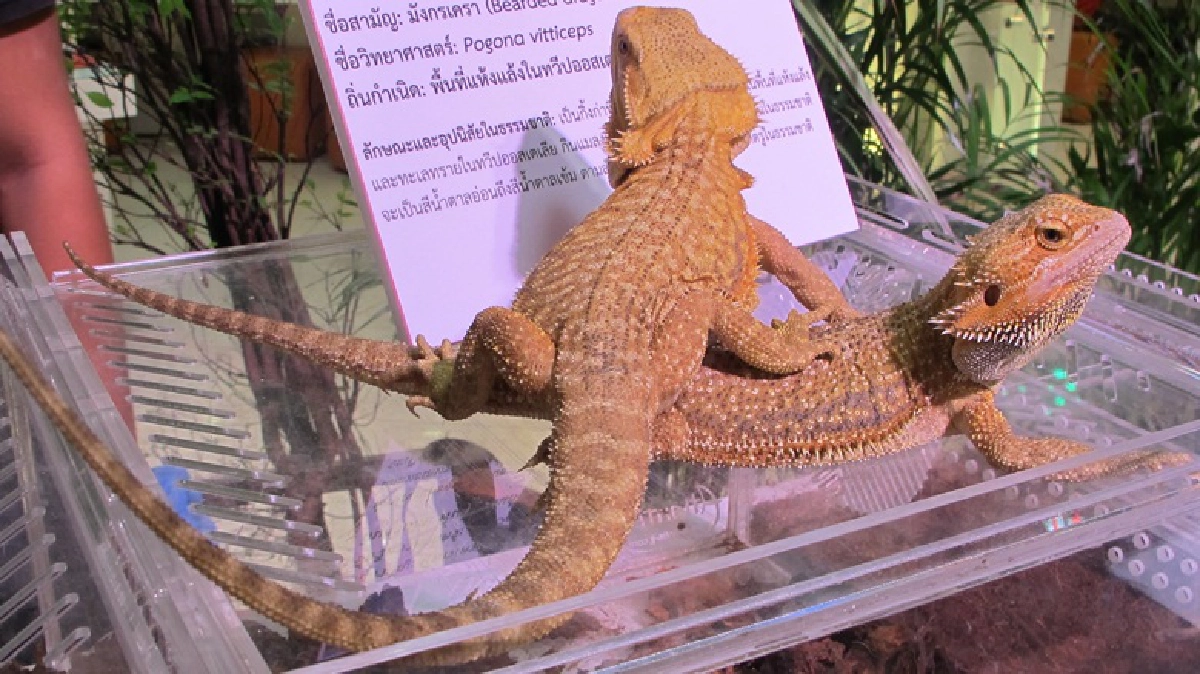 ชวนเที่ยวนิทรรศการ 3,000 ล้านปีของสิ่งมีชีวิต