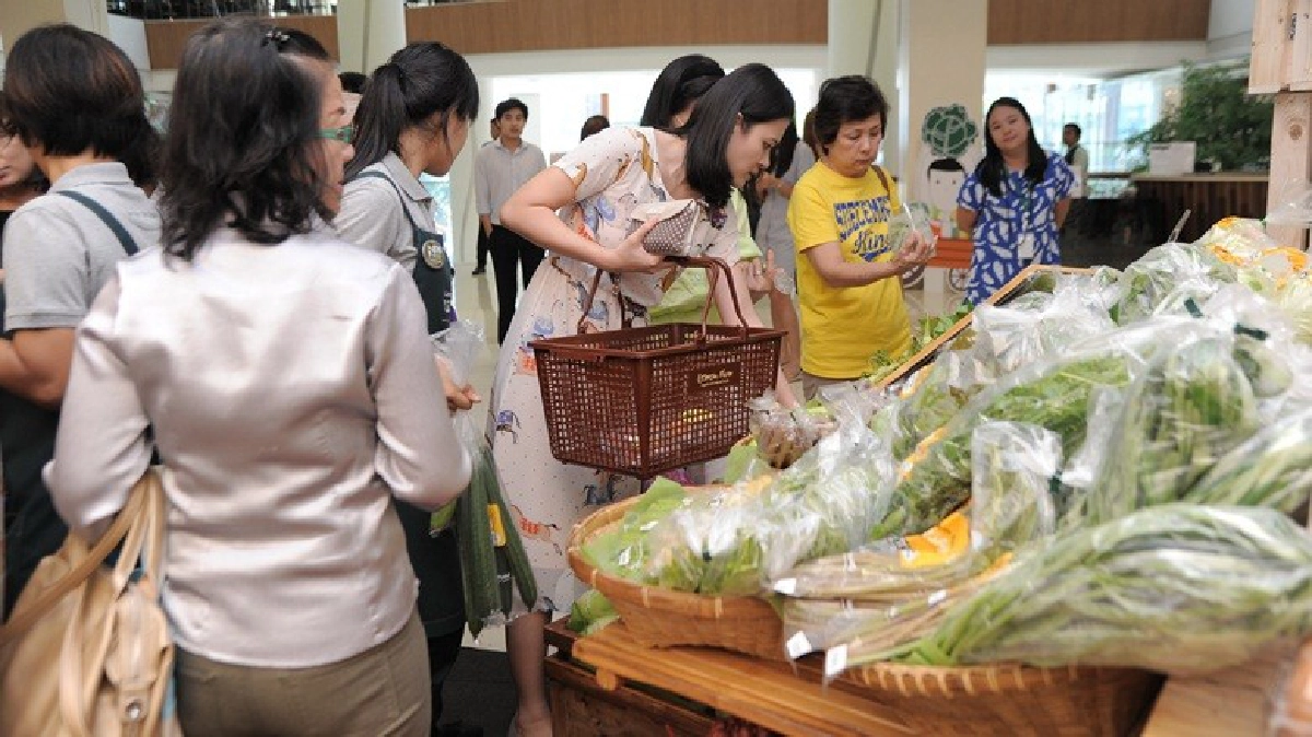 หนุนคนไทยบริโภคพืชผักอินทรีย์อย่างน้อย400กรัม/วัน