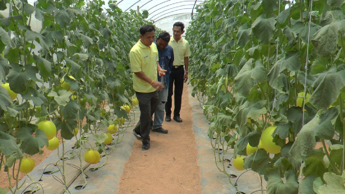 อดีตครูทำไร่สวนผสมเป็นศูนย์เรียนรู้และท่องเที่ยวเชิงเกษตร