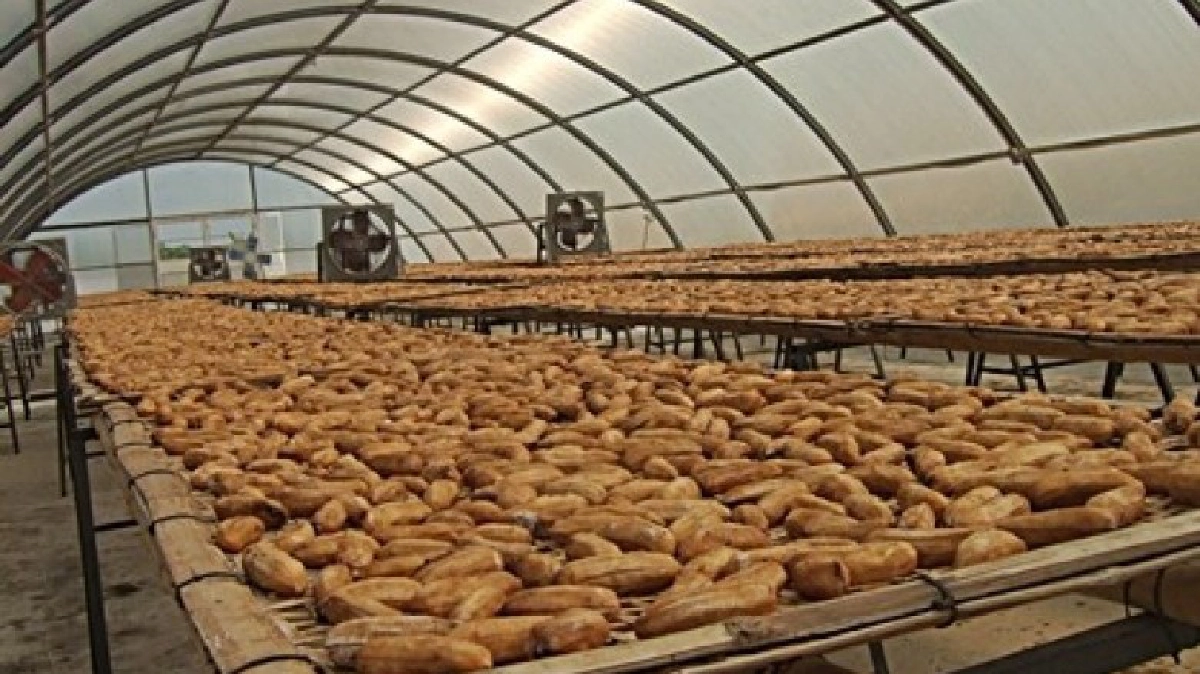 นวัตกรรมด้านพืชสวน (2)