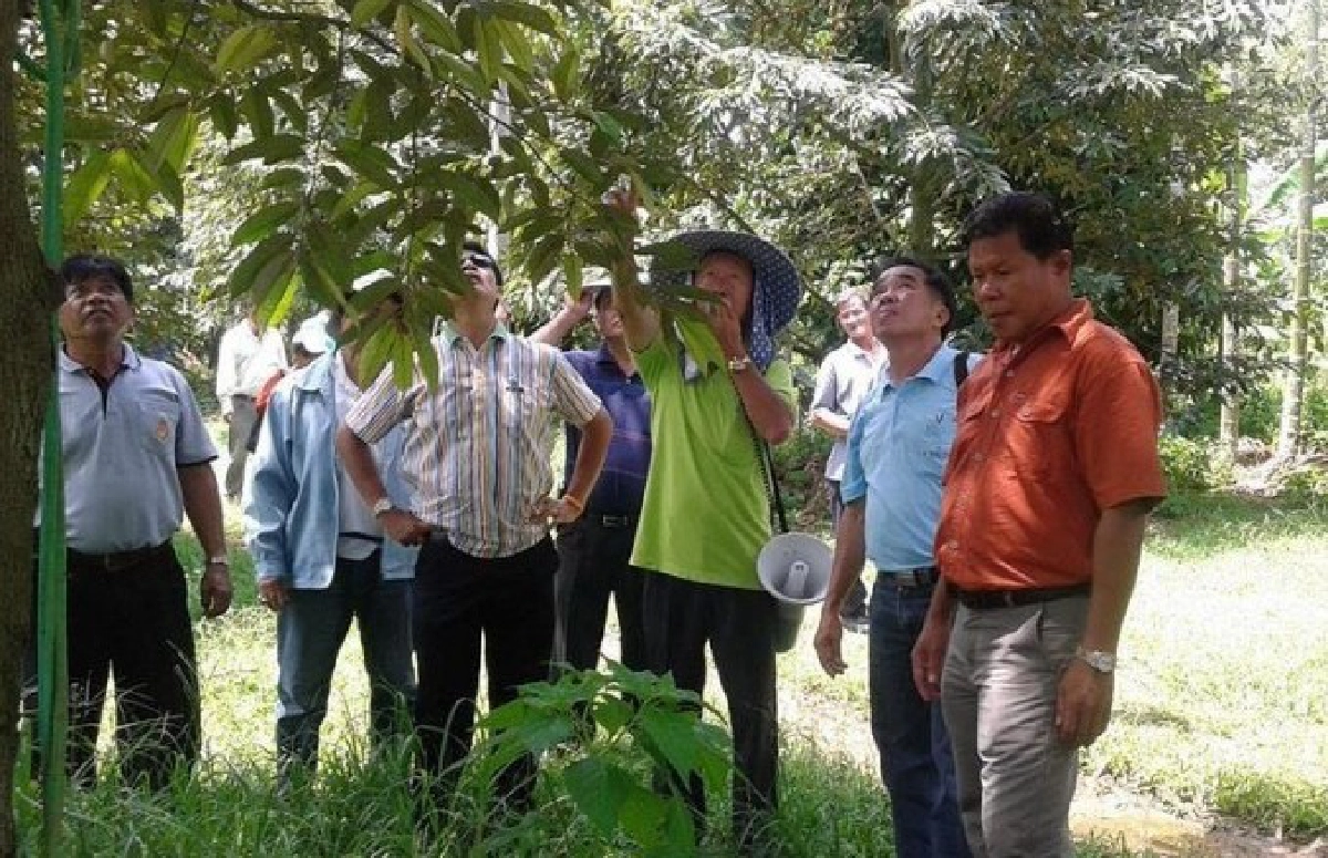 เกษตรกรนักคิดผลิต"ทุเรียนนอกฤดู"ทำเงินล้าน! เกษตรกรนักคิดผลิต"ทุเรียนนอกฤดู"ทำเงินล้าน!