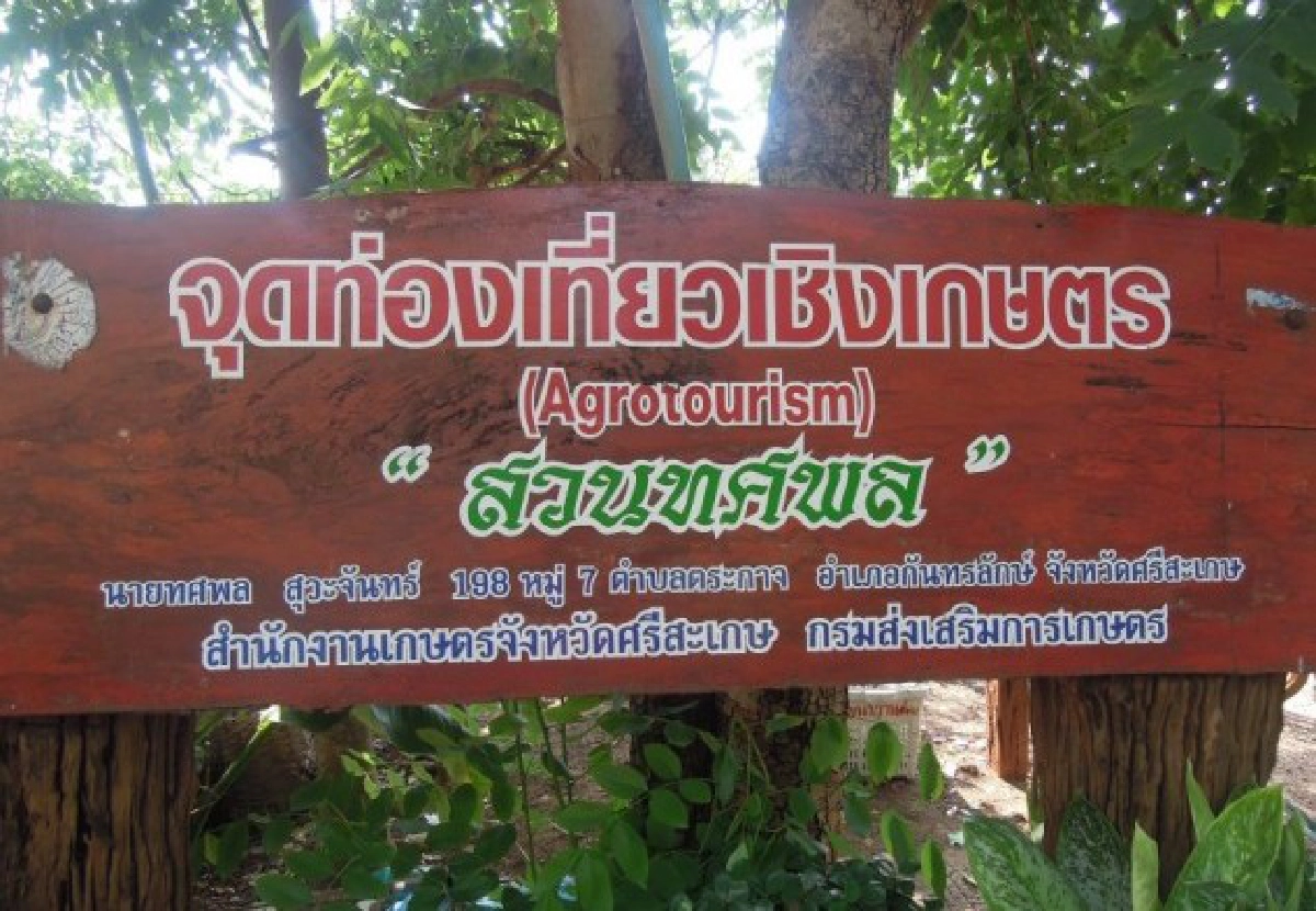 ตระเวนชมสวนที่ศรีษะเกษ ลิ้มรสทุเรียนพันธุ์ดี-ดูวิธีทอผ้าไหม ตระเวนชมสวนที่ศรีษะเกษ ลิ้มรสทุเรียนพันธุ์ดี-ดูวิธีทอผ้าไหม