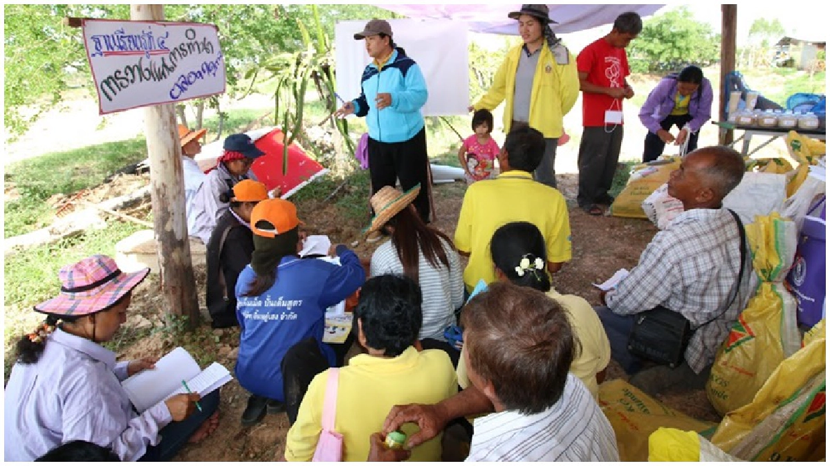 โรงเรียนชาวนา เรียนรู้ปลูกข้าวบนที่ดินเค็ม