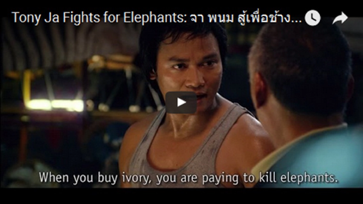'จา พนม-ซิโก้-นักเตะช้างศึก'ชวนคนไทย'หยุดซื้องาช้าง' 'จา พนม-ซิโก้-นักเตะช้างศึก'ชวนคนไทย'หยุดซื้องาช้าง'