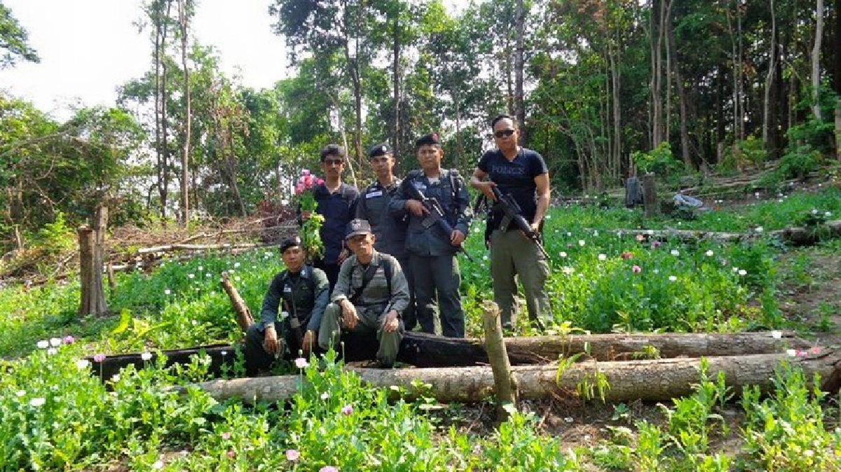 'ท่าสองยางโมเดล'สร้างอำเภอสีขาว ลดปัญหาแพร่ระบาดยาเสพติด