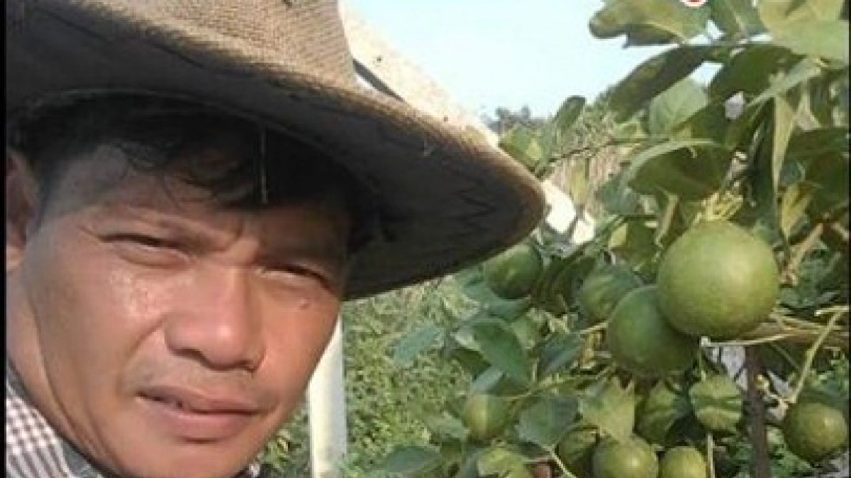 “ศรีปทุม”มะนาวแป้นกลายพันธุ์ ปลูกได้ที่ ให้ผลผลิตทั้งปี “ศรีปทุม”มะนาวแป้นกลายพันธุ์ ปลูกได้ที่ ให้ผลผลิตทั้งปี