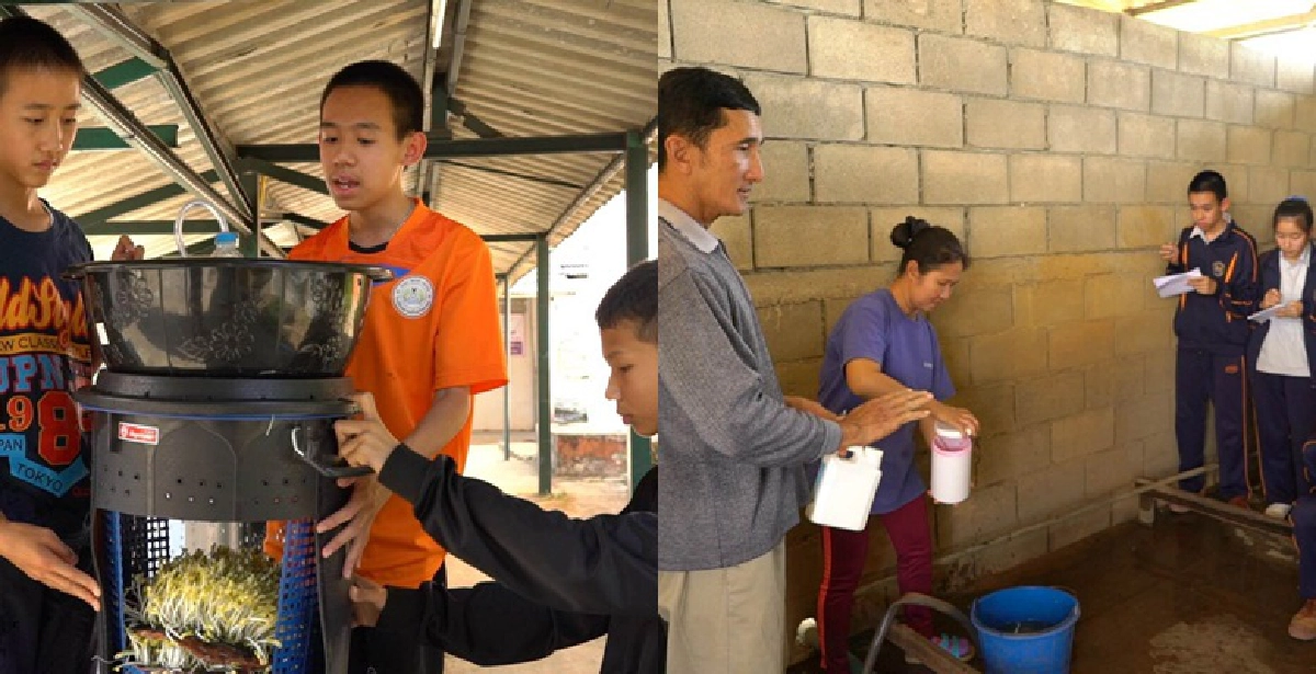 ถั่วงอกปัญญาในแทนคุณแผ่นดิน ถั่วงอกปัญญาในแทนคุณแผ่นดิน