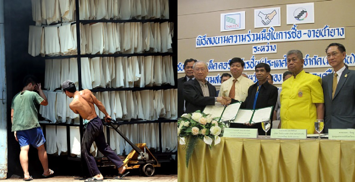 นำร่องซื้อยาง'เอกชน-เกษตรกร'ปลดแอก'พ่อค้าคนกลาง'ที่ระยอง นำร่องซื้อยาง'เอกชน-เกษตรกร'ปลดแอก'พ่อค้าคนกลาง'ที่ระยอง