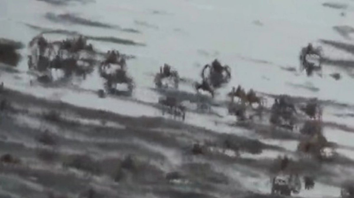 ‘ปูทหาร’นับหมื่นเดินแถวหาดปากบารา