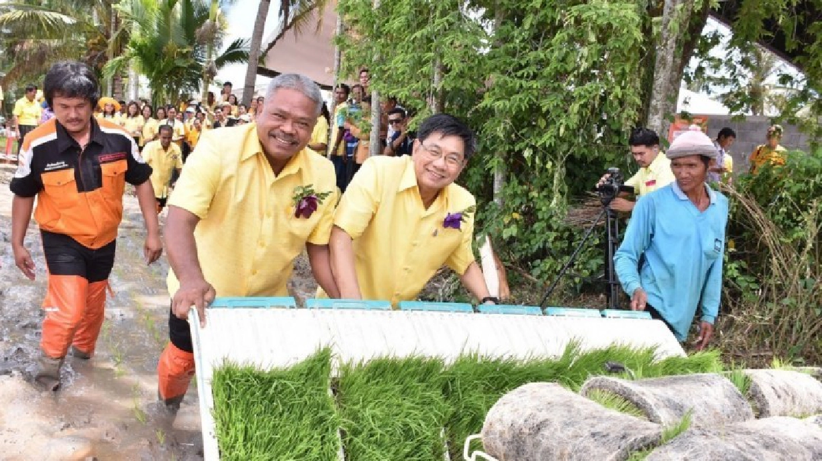 ผลิตเมล็ดข้าว"พันธุ์ดี" อาชีพใหม่ชาวนาไทย