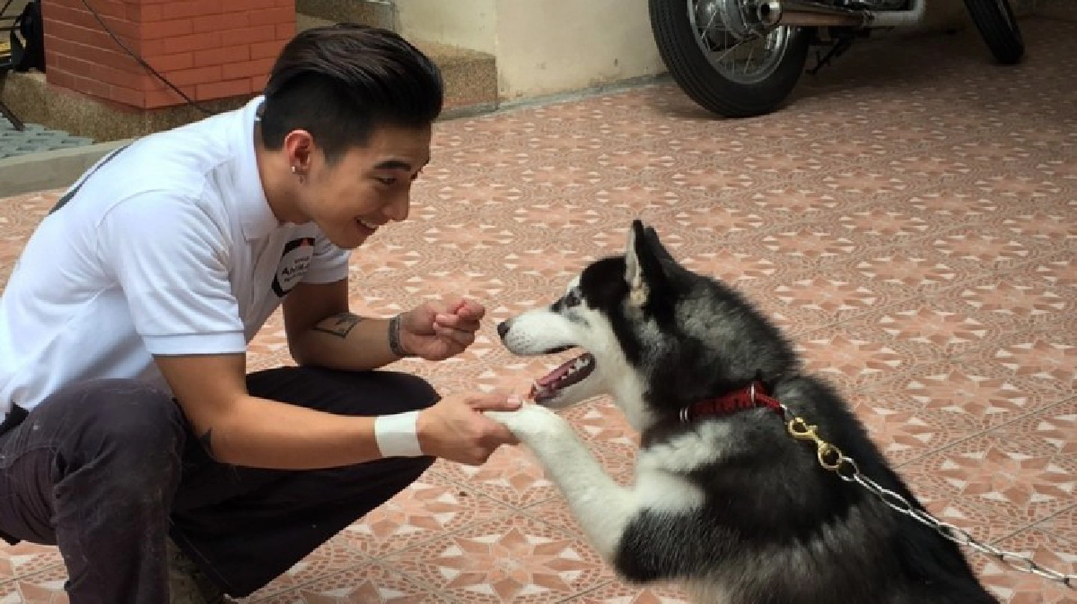 "โตโน่"ชวนถ่ายรูปคู่ตูบ ป้องพิษสุนัขบ้าหมาไร้เจ้าของ! "โตโน่"ชวนถ่ายรูปคู่ตูบ ป้องพิษสุนัขบ้าหมาไร้เจ้าของ!
