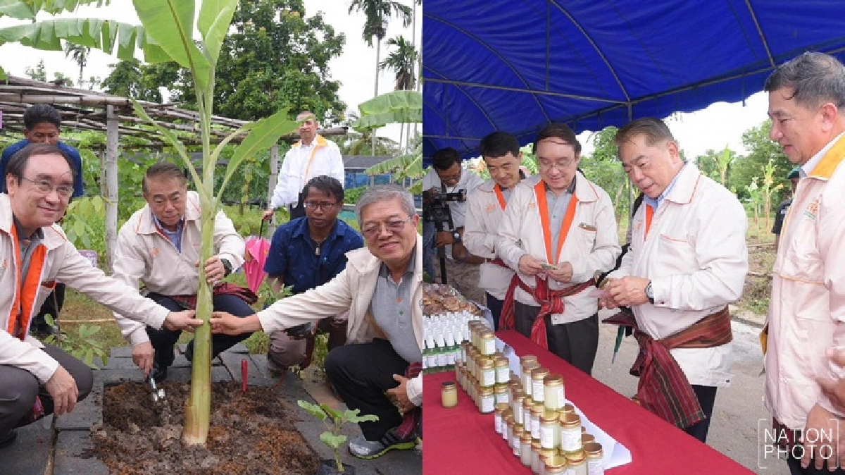 'กลไกสภาผู้นำชุมชน'บ้านสำโรงตัวอย่างงานบุญปลอดเหล้า 'กลไกสภาผู้นำชุมชน'บ้านสำโรงตัวอย่างงานบุญปลอดเหล้า