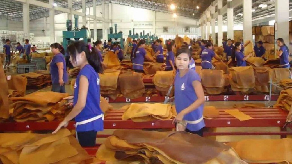 ป.ป.ช. ชง รัฐไม่ควรแทรกแซง "ราคายางพารา" ป้องกันการทุจริต