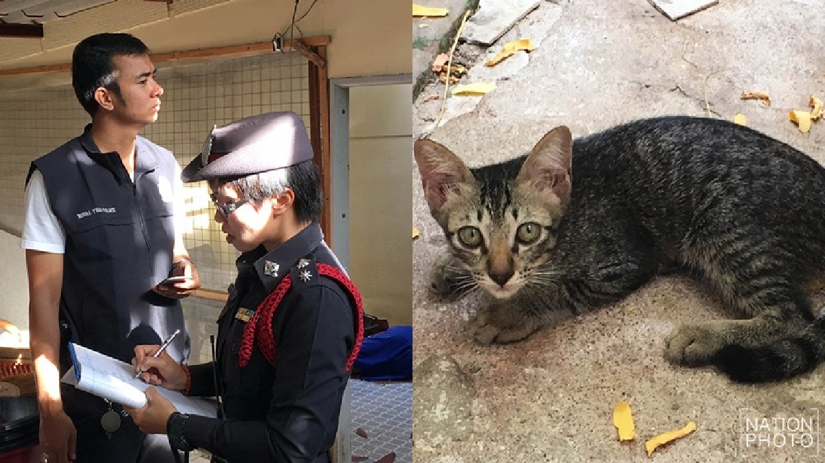 สุดเศร้า!อดีตนาวิกรักแมวยิ่งชีพปกป้องจนตัวตาย สุดเศร้า!อดีตนาวิกรักแมวยิ่งชีพปกป้องจนตัวตาย