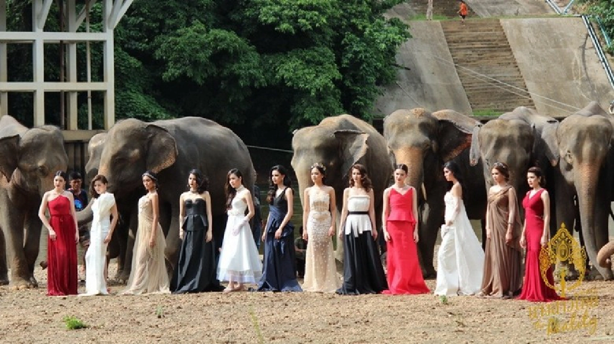24 สาวงามบุกป่าเมืองกาญจน์ 