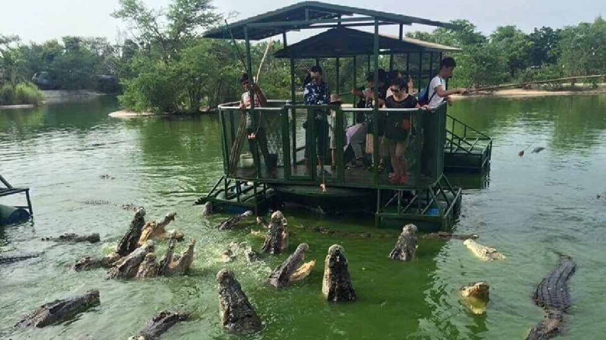กรมประมงฟันพักใบอนุญาต“ฟาร์มจระเข้และสวนสัตว์อุทัยรัช” กรมประมงฟันพักใบอนุญาต“ฟาร์มจระเข้และสวนสัตว์อุทัยรัช”