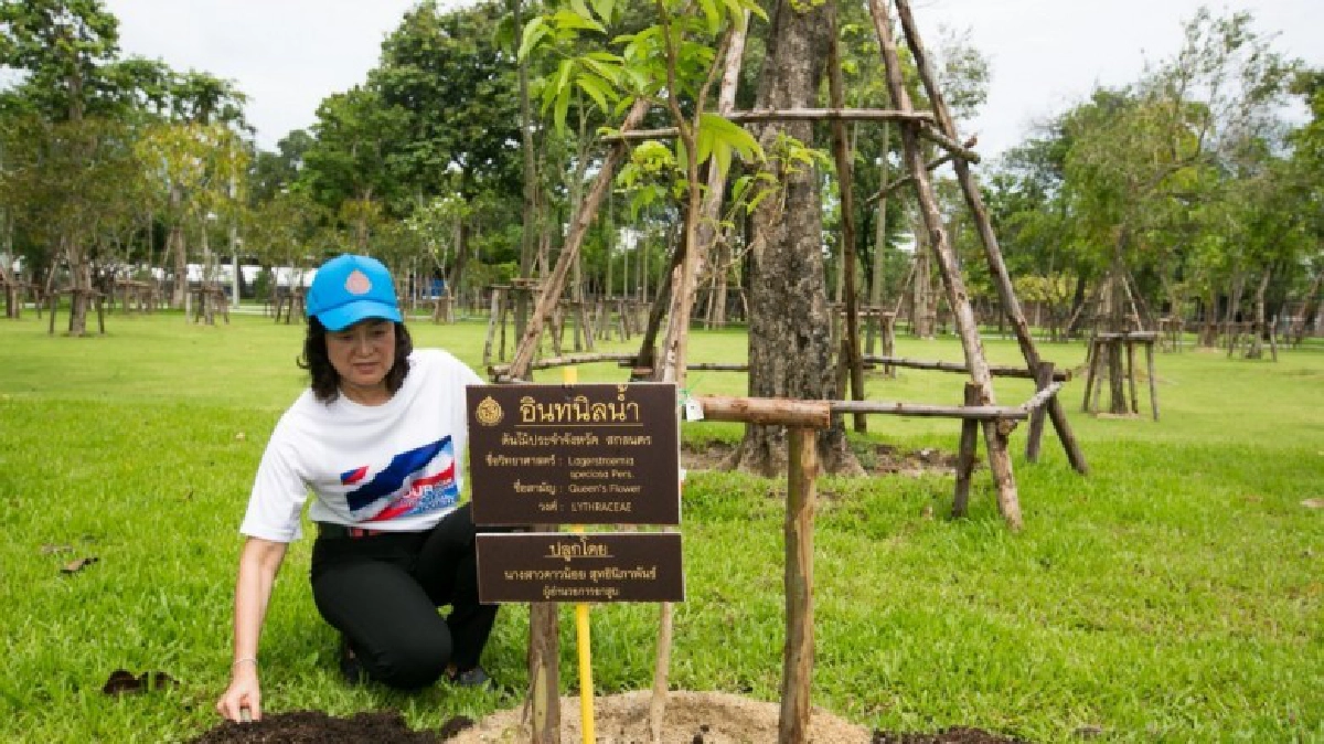 สัมผัส“สวนป่าเบญจกิติ”ปอดแห่งใหม่ของเมืองกรุง สัมผัส“สวนป่าเบญจกิติ”ปอดแห่งใหม่ของเมืองกรุง
