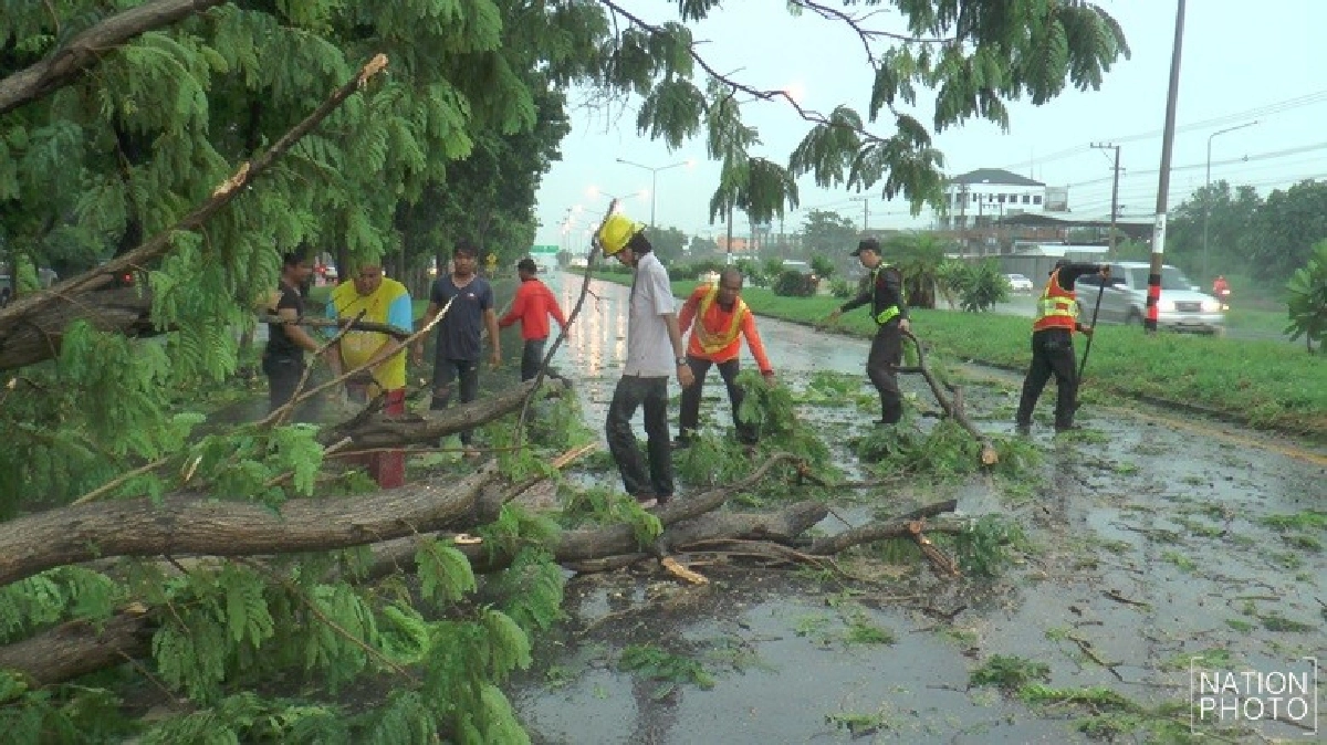 โคราชฝนถล่มต้นไม้หักโค่นถนนสาย304อัมพาต  