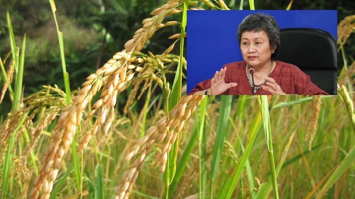 ยกระดับสินค้า เกษตรอินทรีย์ ไทยสู่โลก ยกระดับสินค้า เกษตรอินทรีย์ ไทยสู่โลก