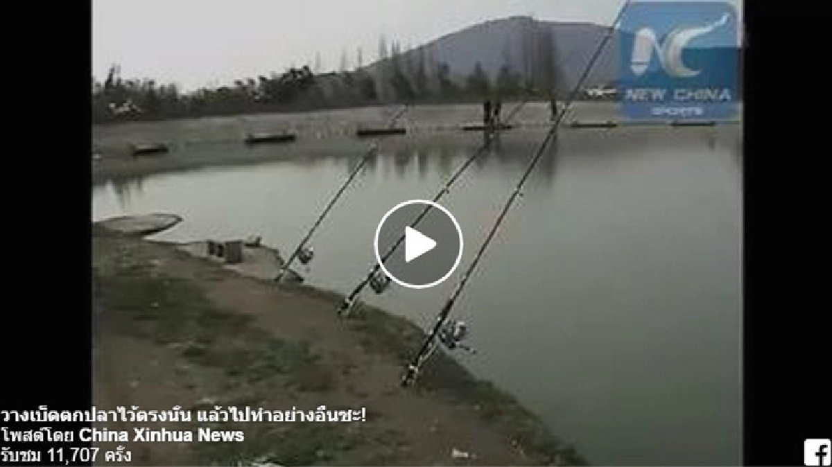 เบ็ดตกปลาอัตโนมัติ !? เบ็ดตกปลาอัตโนมัติ !?