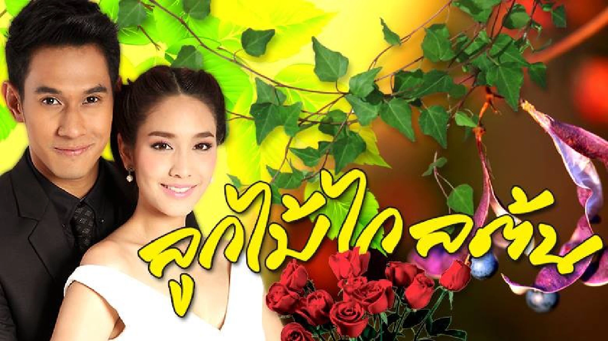 จอแก้ว เรื่องย่อ ลูกไม้ไกลต้น