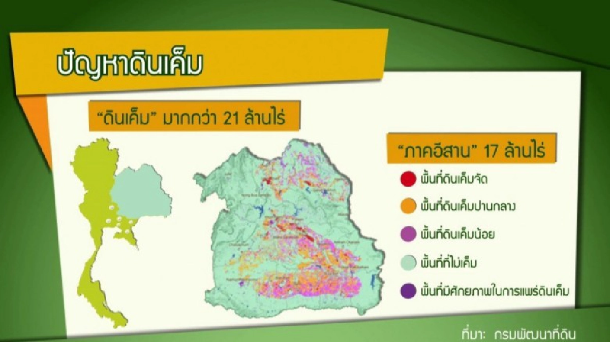 พลิกดินเค็มพัฒนา"เกษตร" มิติใหม่แผนพัฒนาฯ ฉบับ12 พลิกดินเค็มพัฒนา"เกษตร" มิติใหม่แผนพัฒนาฯ ฉบับ12