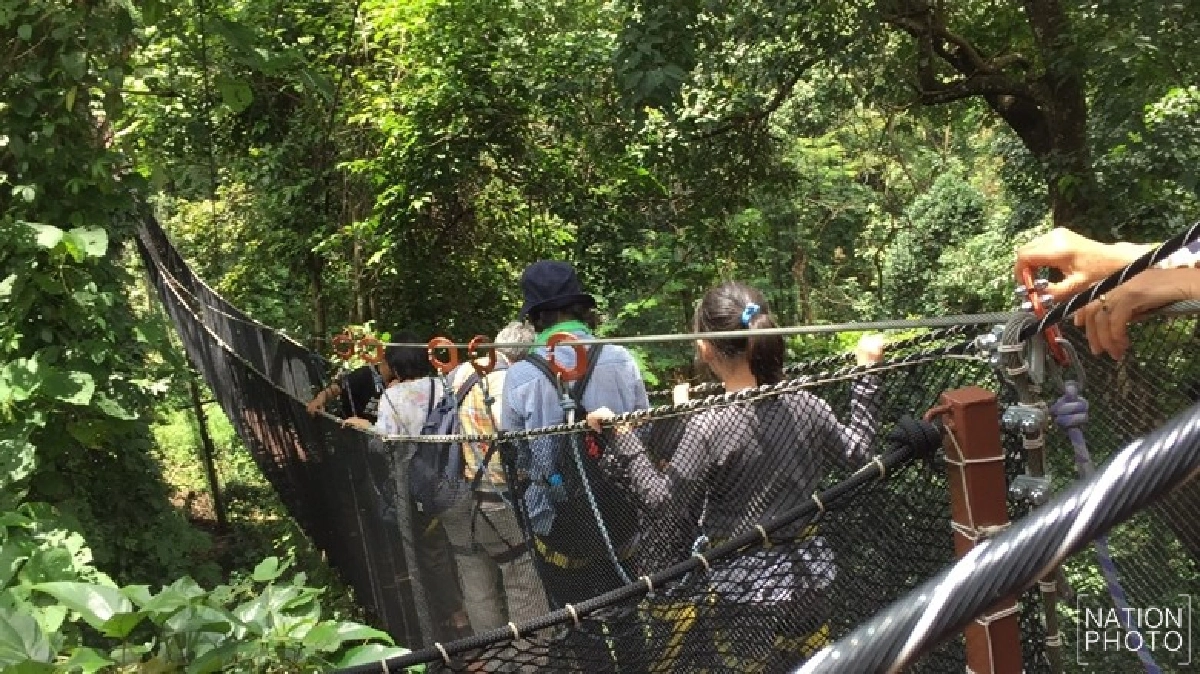 เปิดแล้ว! ‘DoiTung TreeTop Walk’ เชียงราย