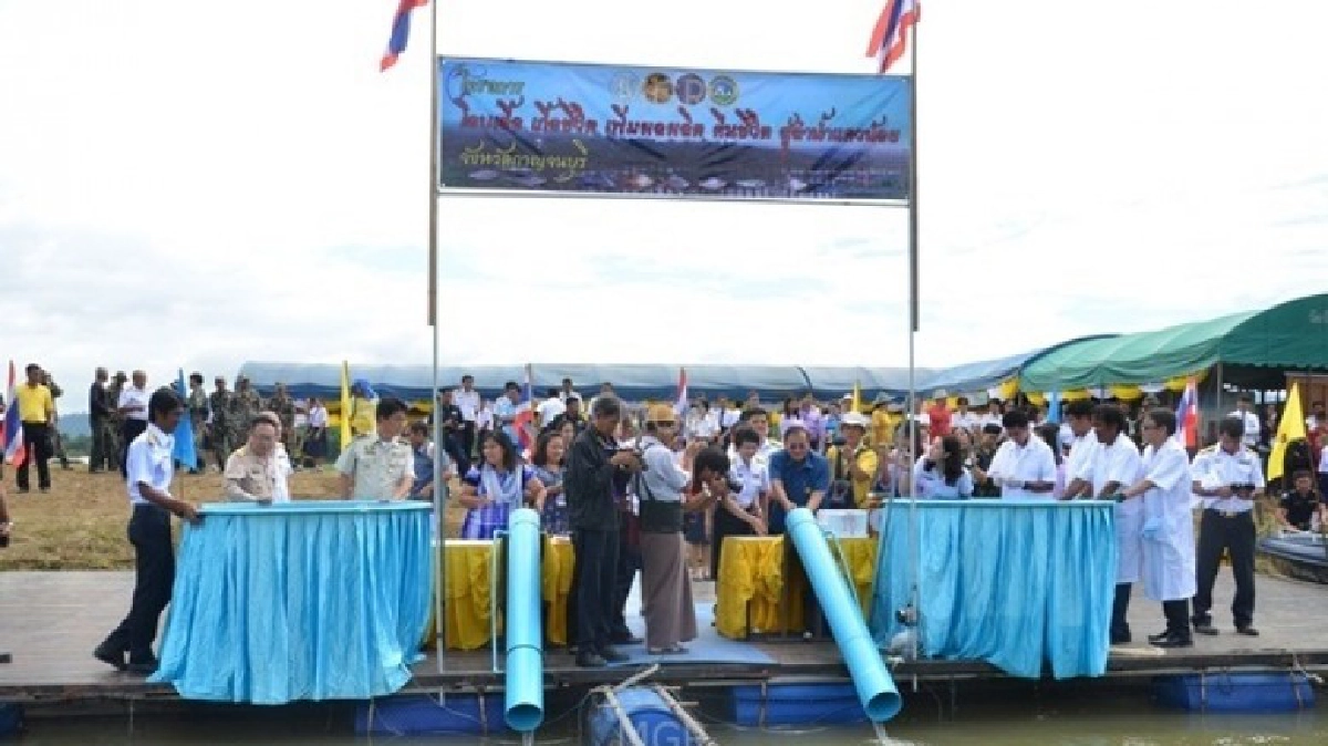 ปล่อยปลา8ชนิด นำร่องโครงการเพิ่มสัตว์น้ำ ที่สังขละบุรี 