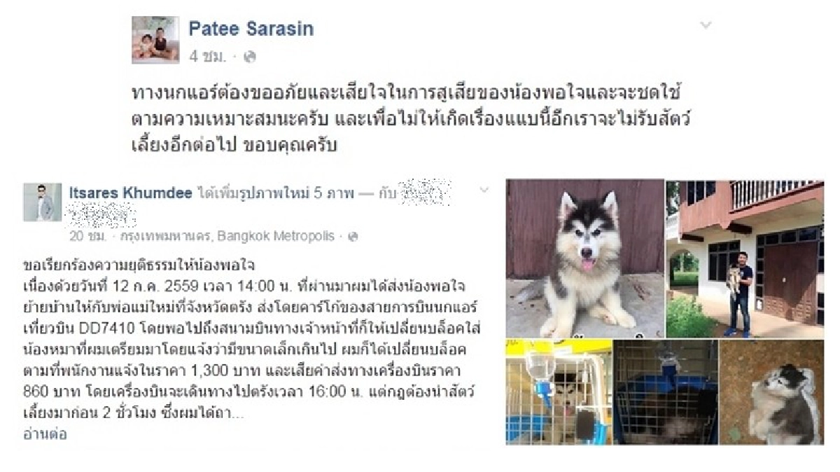 อาลัย น้องพอใจ นกแอร์เลิกส่งสัตว์เลี้ยง อาลัย น้องพอใจ นกแอร์เลิกส่งสัตว์เลี้ยง