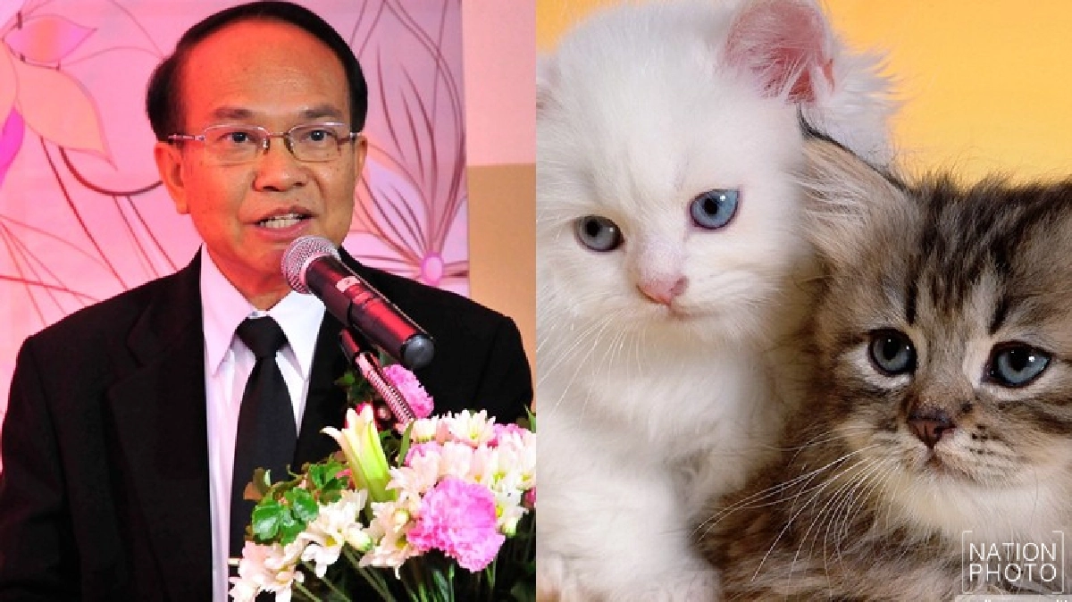 แนะผู้ป่วยหอบหืดเลี่ยงสิ่งกระตุ้น 