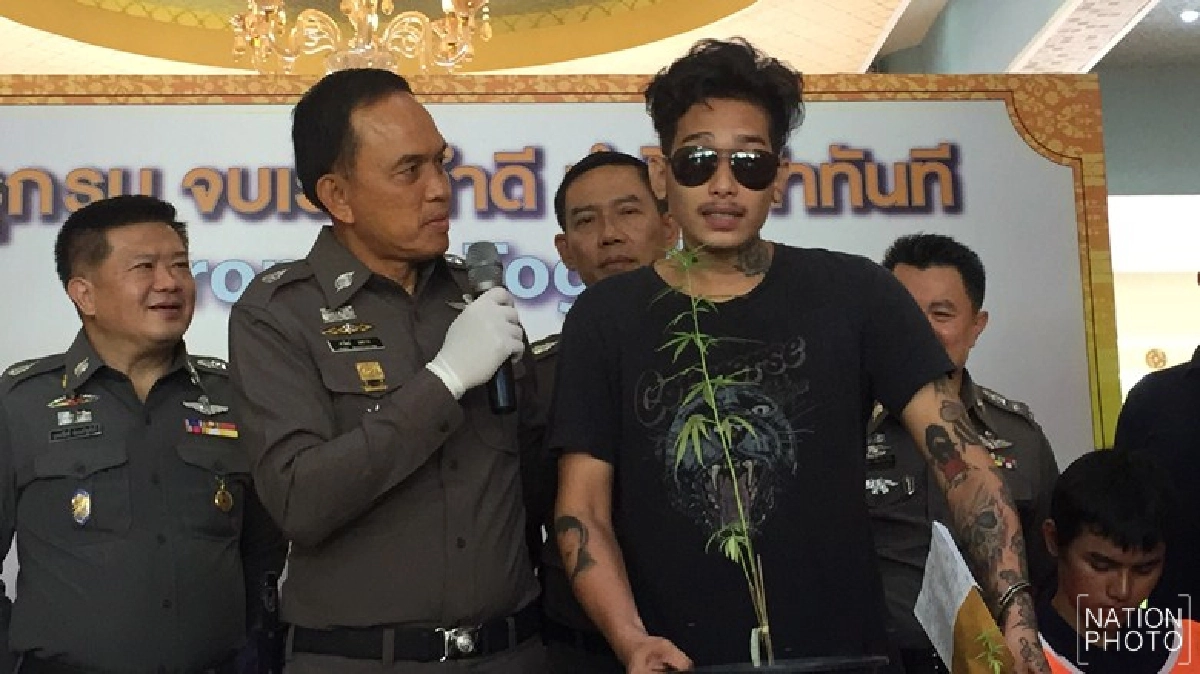 จับนักดนตรีเสพ-ปลูกกัญชา จับนักดนตรีเสพ-ปลูกกัญชา