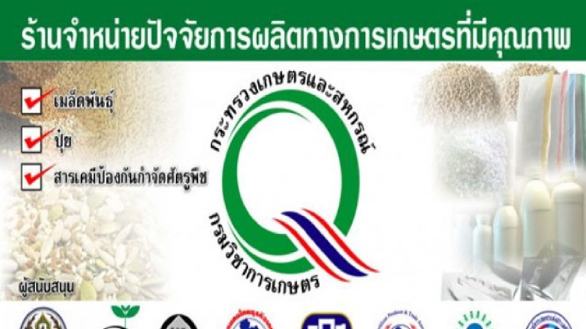 3เดือนทะลุเป้า! ร้านค้าตื่นร่วมหมื่นราย ซื้อขายพุ่ง4พันล้าน!