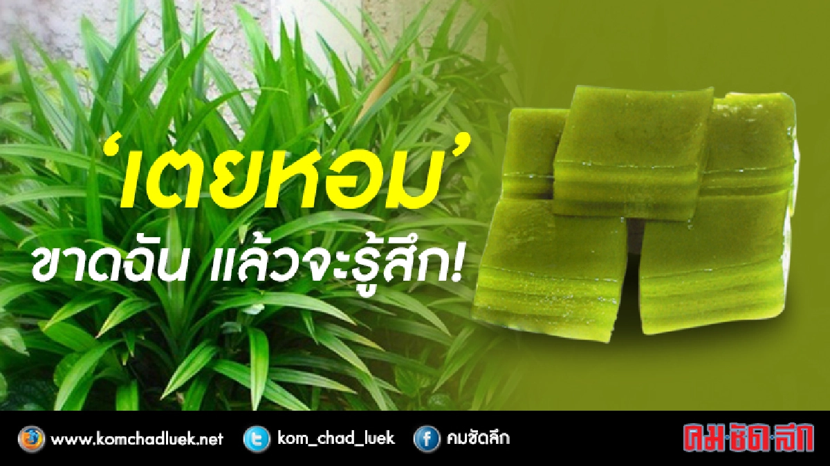"เตยหอม"ขจัดรังแค แก้หงอกก่อนวัย! "เตยหอม"ขจัดรังแค แก้หงอกก่อนวัย!