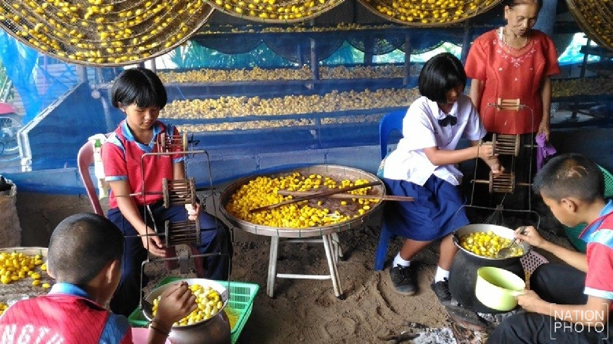 อีสานขึ้นเหนือทำผ้าไหมตามแนวพระราชดำริ อีสานขึ้นเหนือทำผ้าไหมตามแนวพระราชดำริ