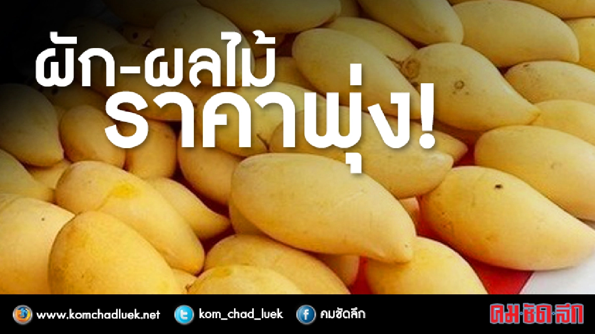 ผัก-ผลไม้ราคาพุ่ง! ผัก-ผลไม้ราคาพุ่ง!