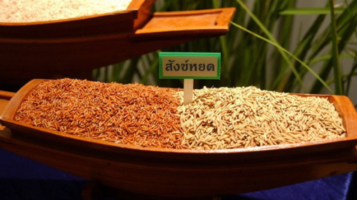 สยายปีก"ยโสธรโมเดล"ลงใต้นำร่อง"พัทลุง"