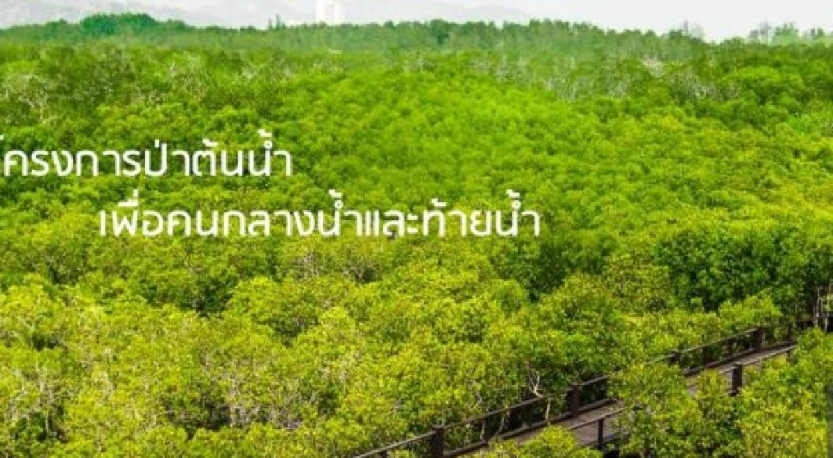 ชวนยช.ไทยประกวดภาพเขียน"ป่าต้นน้ำ ป่าน่านของเรา"ชิง1แสน ชวนยช.ไทยประกวดภาพเขียน"ป่าต้นน้ำ ป่าน่านของเรา"ชิง1แสน