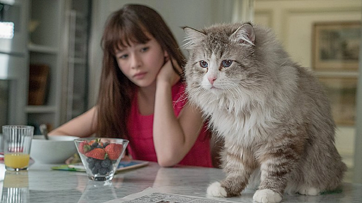พบกับ“NINE LIVES” หนังแมวสุดฮา พบกับ“NINE LIVES” หนังแมวสุดฮา