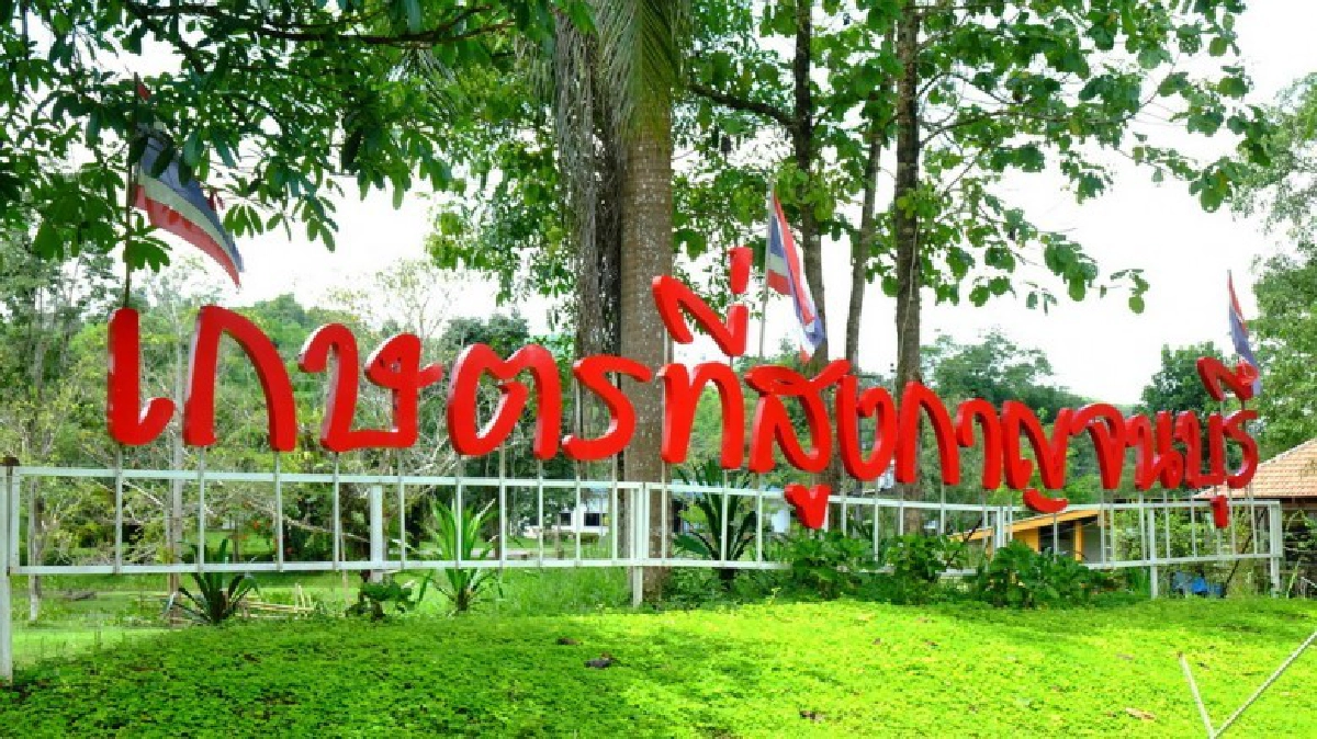 หลากหลายมิติในแปลงเกษตร หลากหลายมิติในแปลงเกษตร